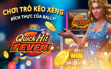 Quản lý tài chính Zalv888